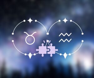 Touro combina com Aquário