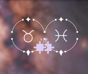 Touro combina com Peixes