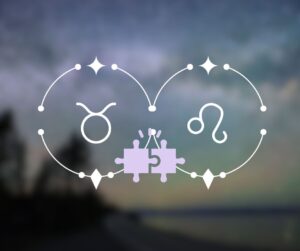 Touro combina com Leão