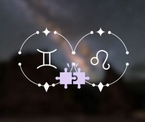 Gêmeos combina com Leão