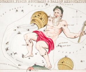 Qual signo combina com Aquário para a vida?