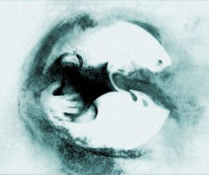 Qual signo combina melhor com Aquário para negócios?