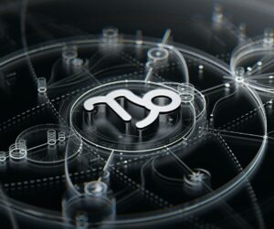 Qual o signo que mais combina com Capricórnio?