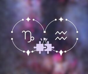Capricórnio combina com Aquário