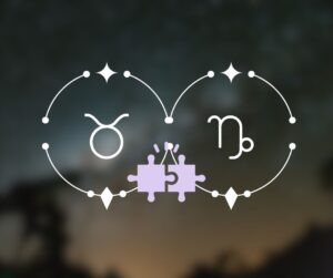 Touro combina com Capricórnio