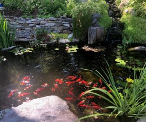 Qual o signo combina com Peixes nos negócios?