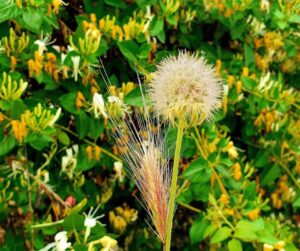 Qual Signo Combina Melhor com Virgem nos Negócios?