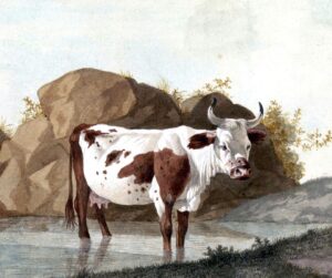 Qual signo combina perfeitamente com Touro na amizade?