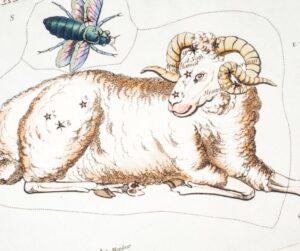 Qual signo combina melhor com Áries no trabalho?